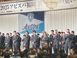 avispa2