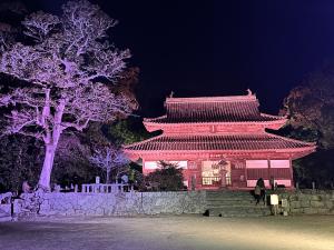 観世音寺ライトアップ