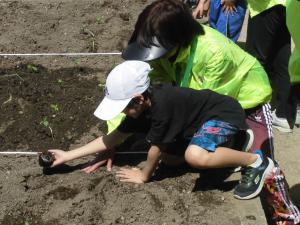 植替えを行う様子の写真