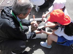 ポリポットに土を入れる様子の写真