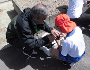 種まきをする様子の写真