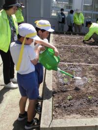 水やりを行う様子の写真