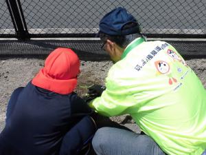 植替えを行う様子の写真