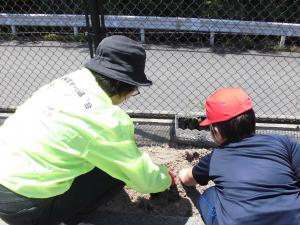 土をかぶせる様子の写真