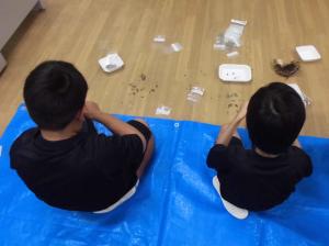 種を数える様子の写真