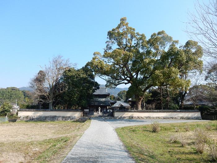 第4回だざいふ景観大賞「戒壇院」の画像