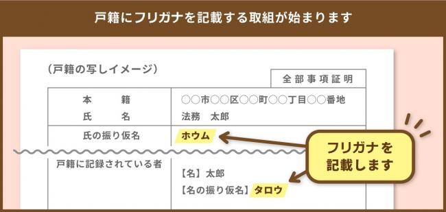 フリガナが記載されます。