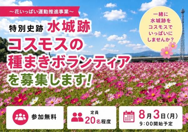 水城跡のコスモスの種まきボランティアを募集します