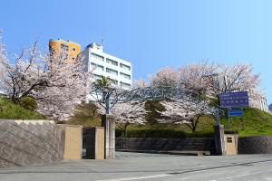 九州情報大学