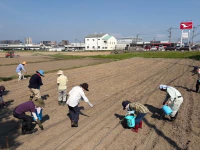 市民ボランティアによる種まき