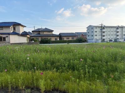 10月1日のようすの写真