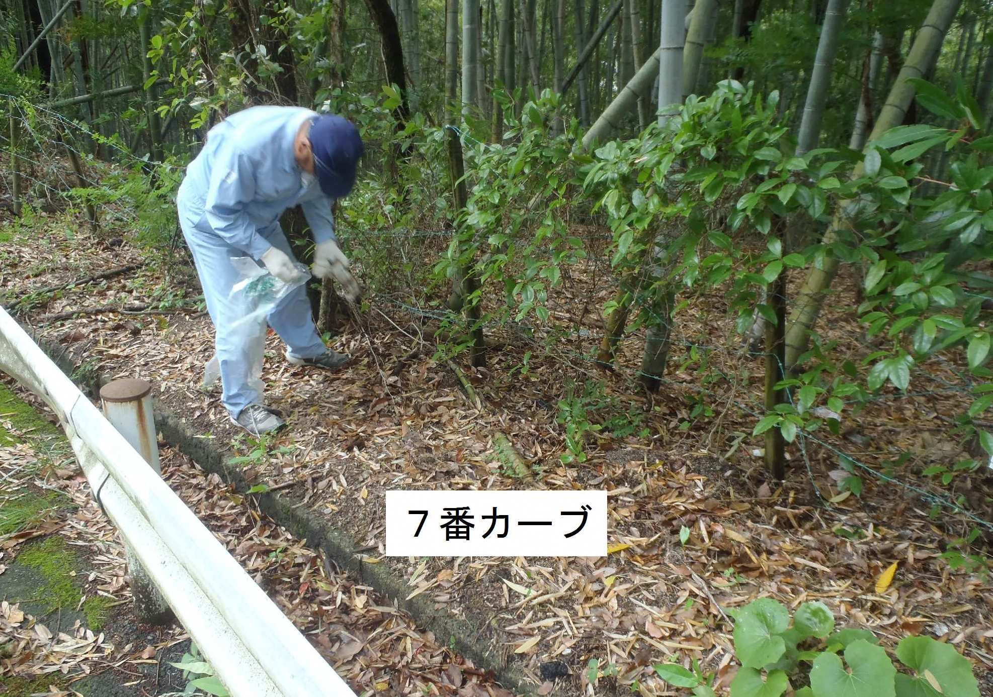 四王寺林道パトロールの様子