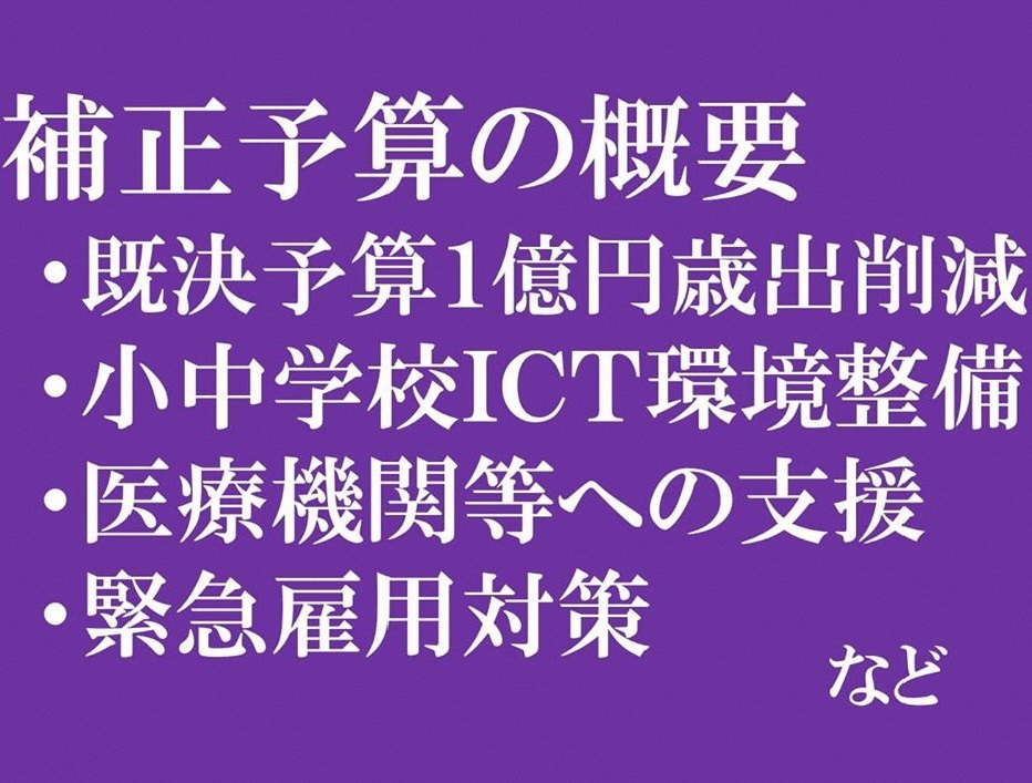 6月議会に向けて記者会見の画像3