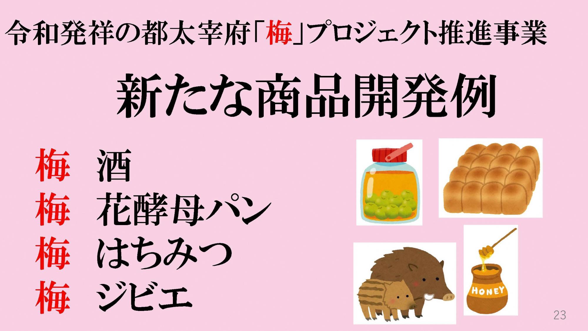 梅プロジェクト推進事業新たな商品開発例