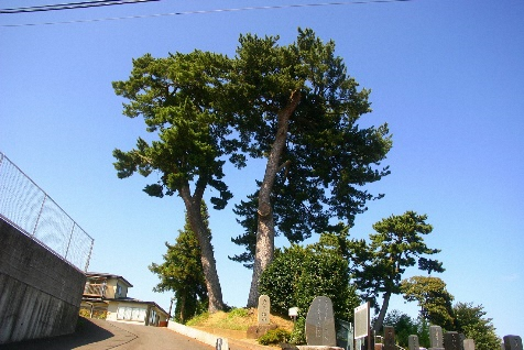 末の松山