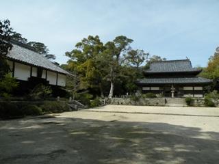 観世音寺金堂及び講堂画像