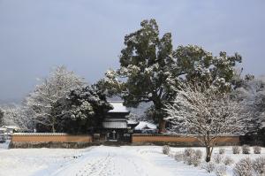 戒壇院（雪）2