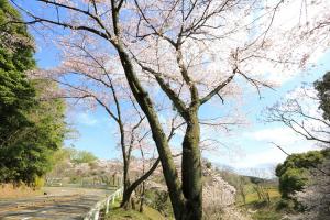 四王寺林道1