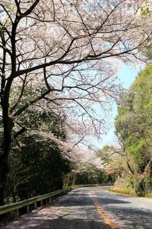 四王寺林道7