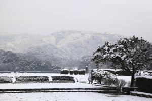 政庁跡(雪)2