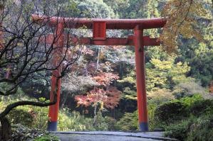 天開稲荷神社