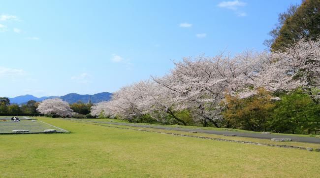 大宰府政庁跡