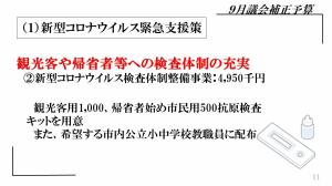 観光客や帰省者等への検査体制の充実。新型コロナウイルス検査体制整備事業：495万円