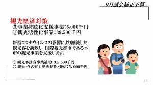 観光経済対策。事業持続化支援事業：500万円、観光活性化事業：3950万円