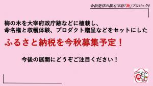 梅の木を大宰府政庁跡などに植栽し、 命名権と収穫体験、プロダクト贈呈などをセットにした  ふるさと納税を今秋募集予定！今後の展開にどうぞご注目ください！