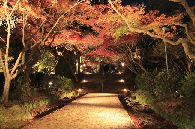 宝満宮竈門神社