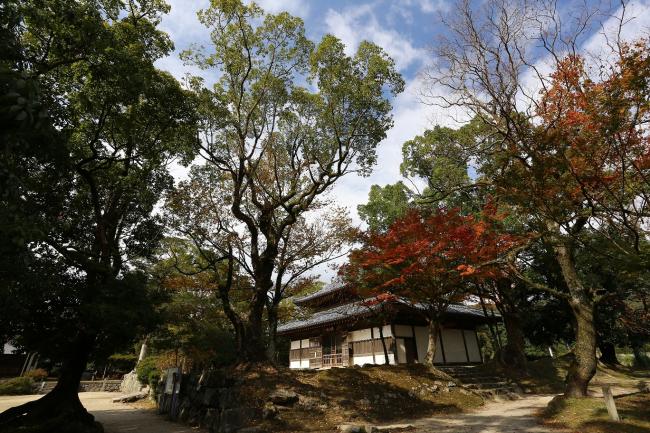 観世音寺