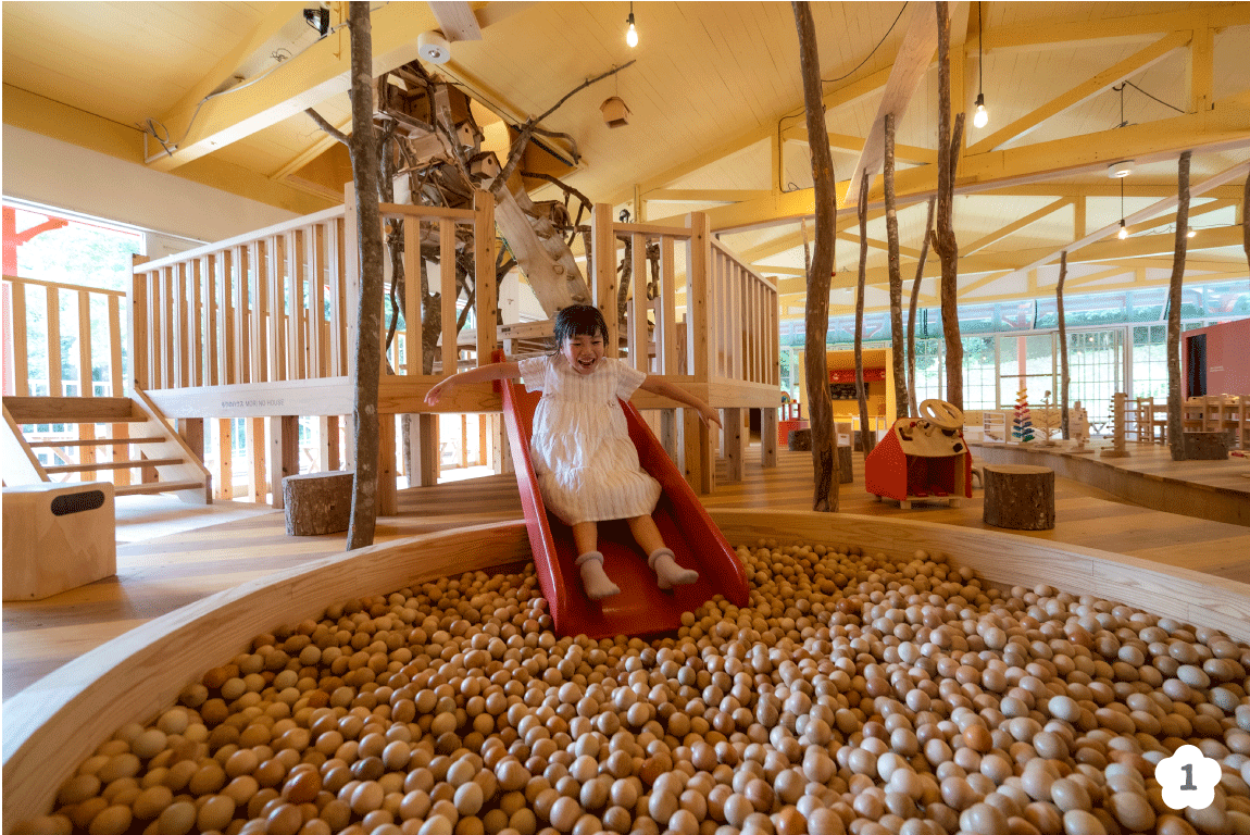 だざいふ遊園地　木のプール