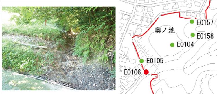 溜池「奧ノ池」の水路(2)