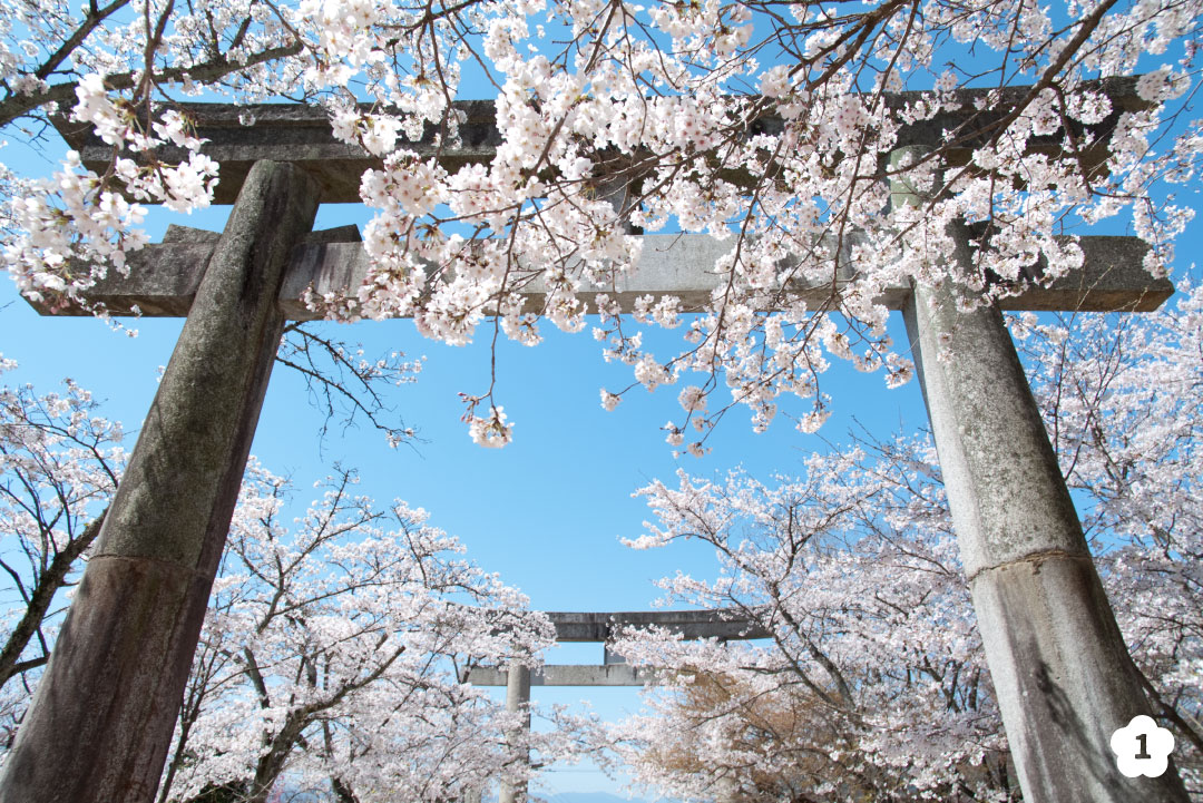 鳥居