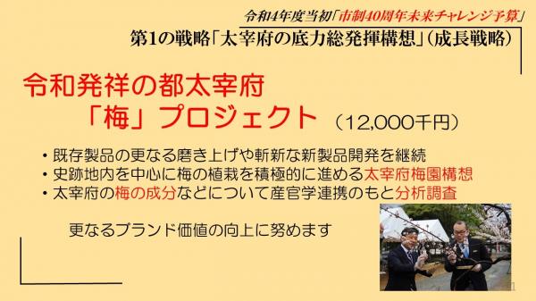 令和発祥の都太宰府「梅」プロジェクト、既存製品の更なる磨き上げや斬新な新製品開発を継続、史跡地内を中心に梅の植栽を積極的に進める太宰府梅園構想、太宰府の梅の成分などについて産官学連携のもと分析調査、更なるブランド価値の向上に努めます