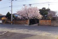 旧日田街道に残る土塀