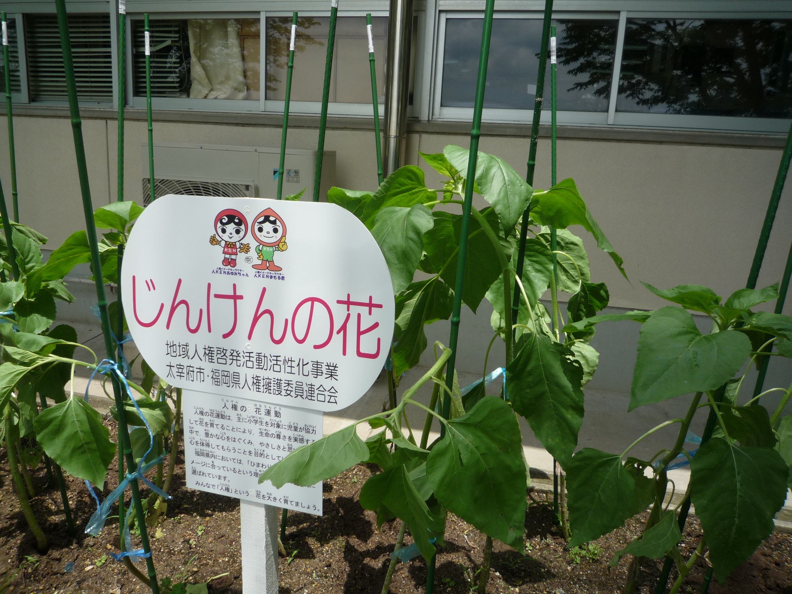 じんけんの花看板