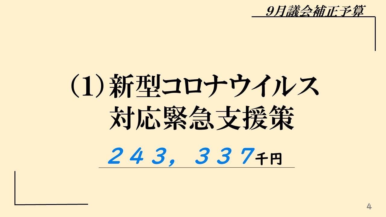 （1）新型コロナウイルス対応緊急支援策23７，５５５千円