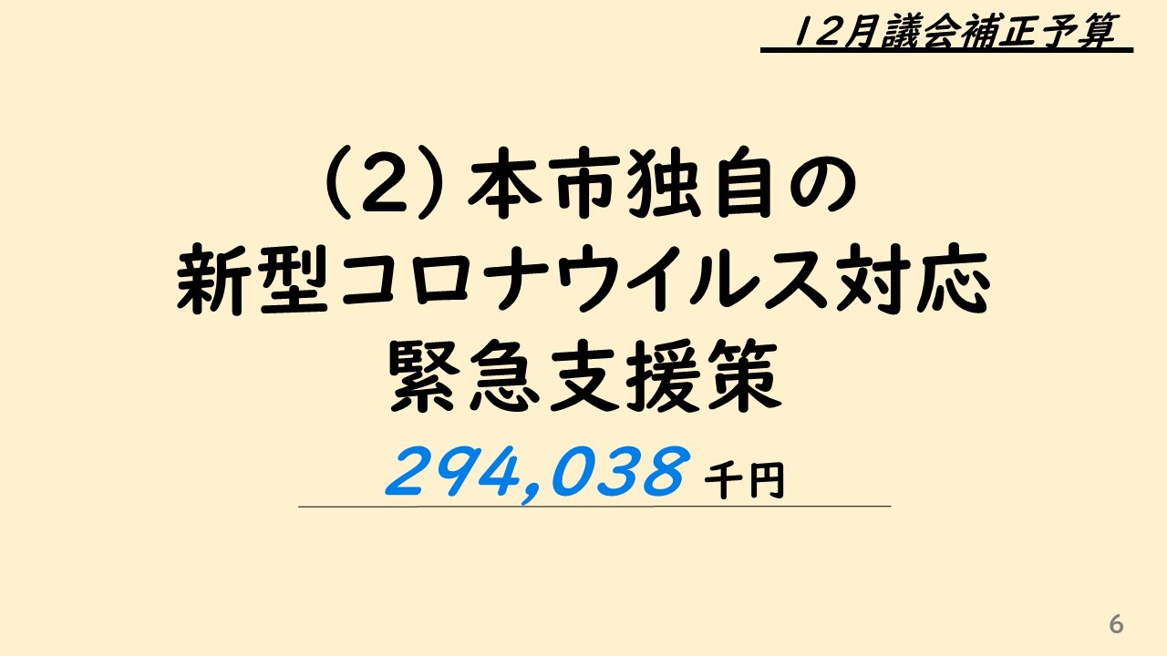 2本市独自の新型コロナウイルス対応緊急支援策 294,038 千円