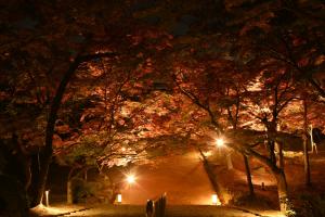 宝満宮竈門神社の紅葉