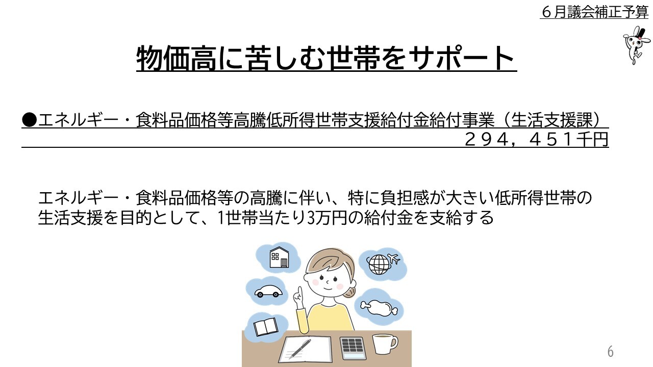 ●エネルギー・食料品価格等高騰低所得世帯支援給付金給付事業（生活支援課） 　２９４，４５１千円