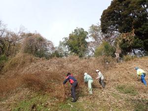 市民活動による草刈りのようすの写真