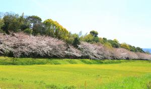 水城跡