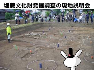 発掘調査の現地説明会のようす